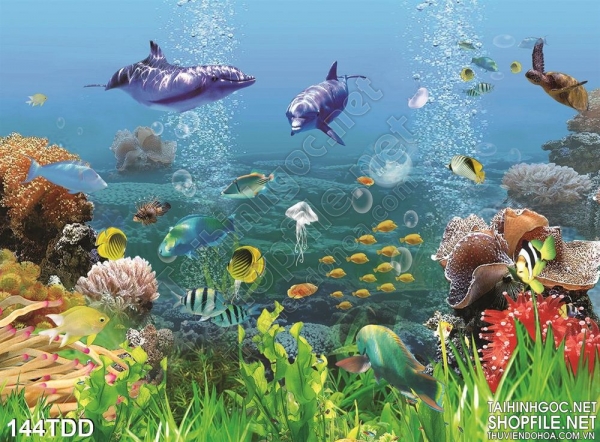 Tranh kính 3D đại dương rực rỡ sắc màu