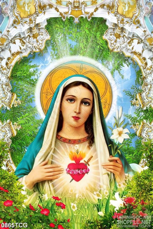 25 hình ảnh xinh đẹp về đức mẹ Maria cho người Công Giáo  TRƯỜNG TRUNG HỌC  PHỔ THÔNG LƯƠNG VĂN CAN