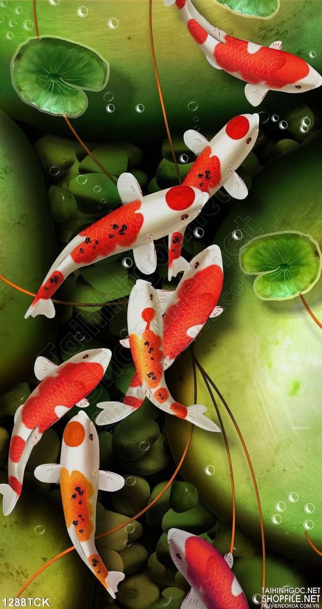 Tranh cá chép hoa sen 3D