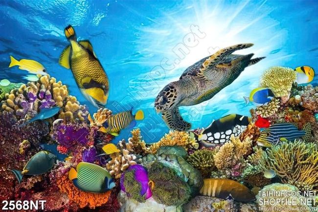 Tranh rùa biển và đàn cá dưới biển xanh