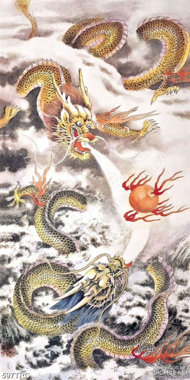 Giải mã hình tượng rồng trong các bộ thư tịch triều Nguyễn  Báo Lâm Đồng  điện tử