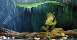 Tranh chú Ếch chất lượng cao