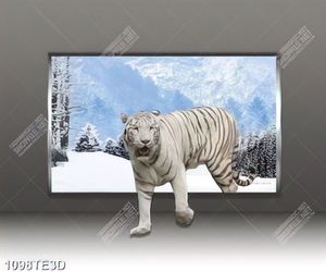 Tranh chú Hổ trắng 3D chất lượng cao