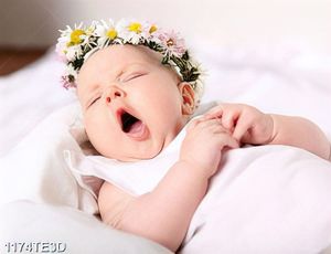 Tranh baby cute