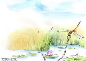 Tranh chuồn chuồn dán tường