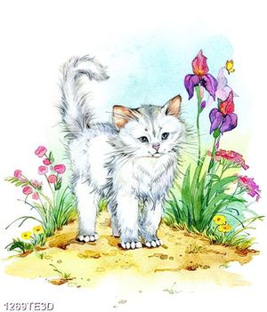 Tranh chú mèo vẽ màu nước dán tường
