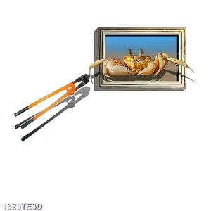 Tranh 3D bức tranh chú cua