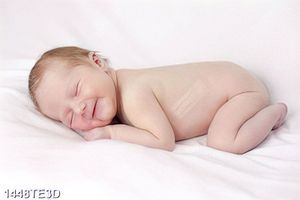 Tranh baby