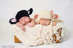Tranh 2 bé baby ngộ nghĩnh