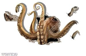 Tranh 3D chú Bạch Tuột chất lượng cao
