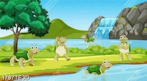 Tranh vector chú rùa