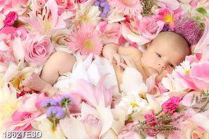 Tranh baby và hoa