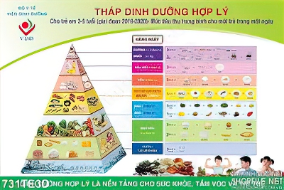 Tranh tường tháp dinh dưỡng hợp lí