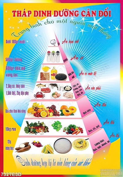 Tranh về tháp dinh dưỡng cân đối cho học sinh