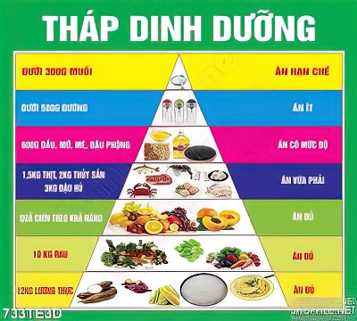Tranh về dinh dưỡng cho học sinh