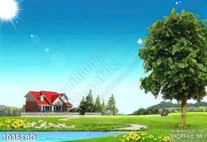 Tranh 3D phong cảnh làng quê trang trí