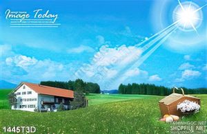 Tranh 3D nông trại
