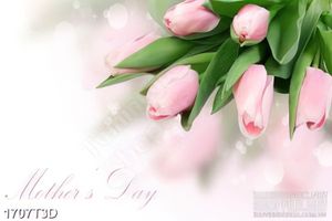 Tranh 3d  trang trí những bông hoa tulip màu hồng thắm