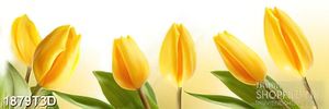 Tranh 3d  trang trí những bông hoa tulip vàng khoe sắc