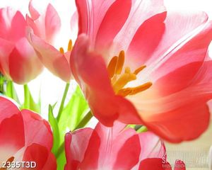 Tranh 3d  trang trí những bông hoa tulip khoe sắc đỏ rực