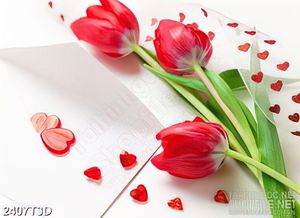 Tranh 3d  trang trí cành hoa tulip màu đỏ bên hình trái tim