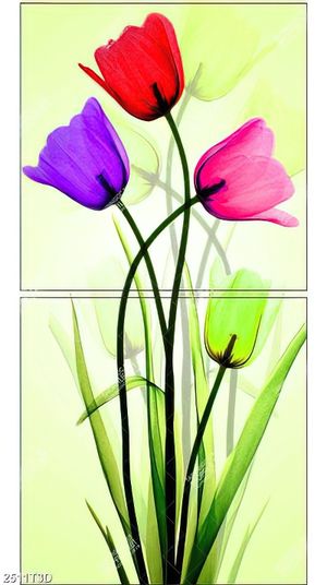 Tranh hoa tulip nhiều màu sắc trẻ trung