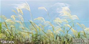 Tranh cỏ lâu trong gió treo tường