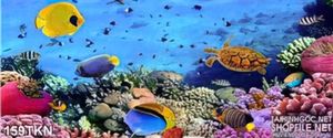 Tranh cá đại dương trang trí bếp đẹp
