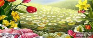 Tranh hoa tulip đẹp nhất