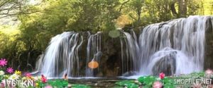 Tranh thác nước trong rừng đẹp nhất hiện nay