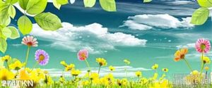 Tranh hoa trang trí bếp