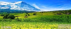 Tranh núi tuyết và cánh đồng trang trí bếp