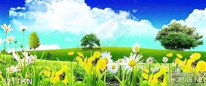 Tranh thảo nguyên và hoa hồ điệp
