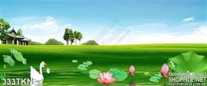 Tranh đồi cỏ và hoa sen