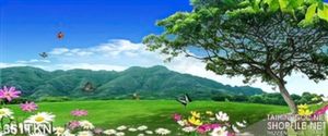 Tranh hoa cúc và phong cảnh núi