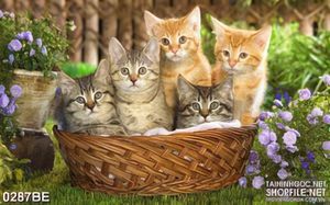 Tranh bếp những chú mèo trong giỏ