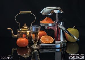 Tranh bếp máy ép nước trái cây