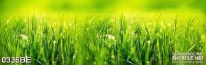 Tranh cánh đồng cỏ xanh treo bếp
