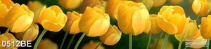 Tranh bếp hoa tulip vàng in uv