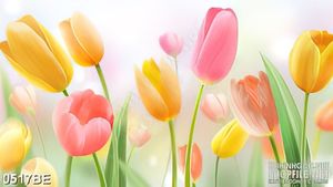 Tranh psd khu vườn tulip treo tường bếp
