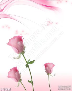 Tranh những bông hoa hồng trên tường bếp