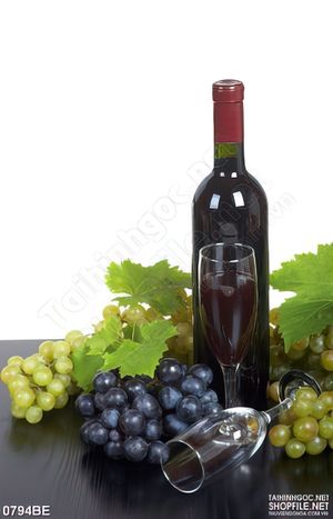 Tranh treo bếp chai rượu vang đỏ