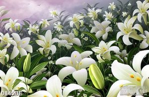 Tranh treo bếp vườn hoa ly trắng
