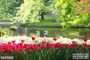 Tranh vườn hoa tulip bên bờ sông treo tường