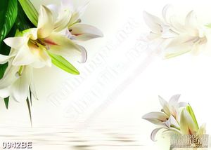 Tranh bếp những bông hoa ly tắng trên mặt nước
