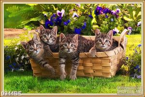 Tranh bếp những chú mèo trong giỏ mây