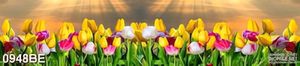 Tranh psd bếp bình minh trên vườn hoa tulip