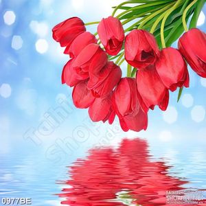 Tranh dán bếp những bông tulip sặc sỡ