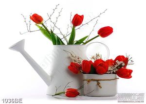 Tranh dán bếp những bông tulip rực đỏ