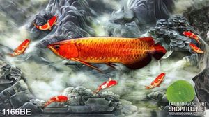 Tranh psd bếp đàn cá cảnh đang bơi